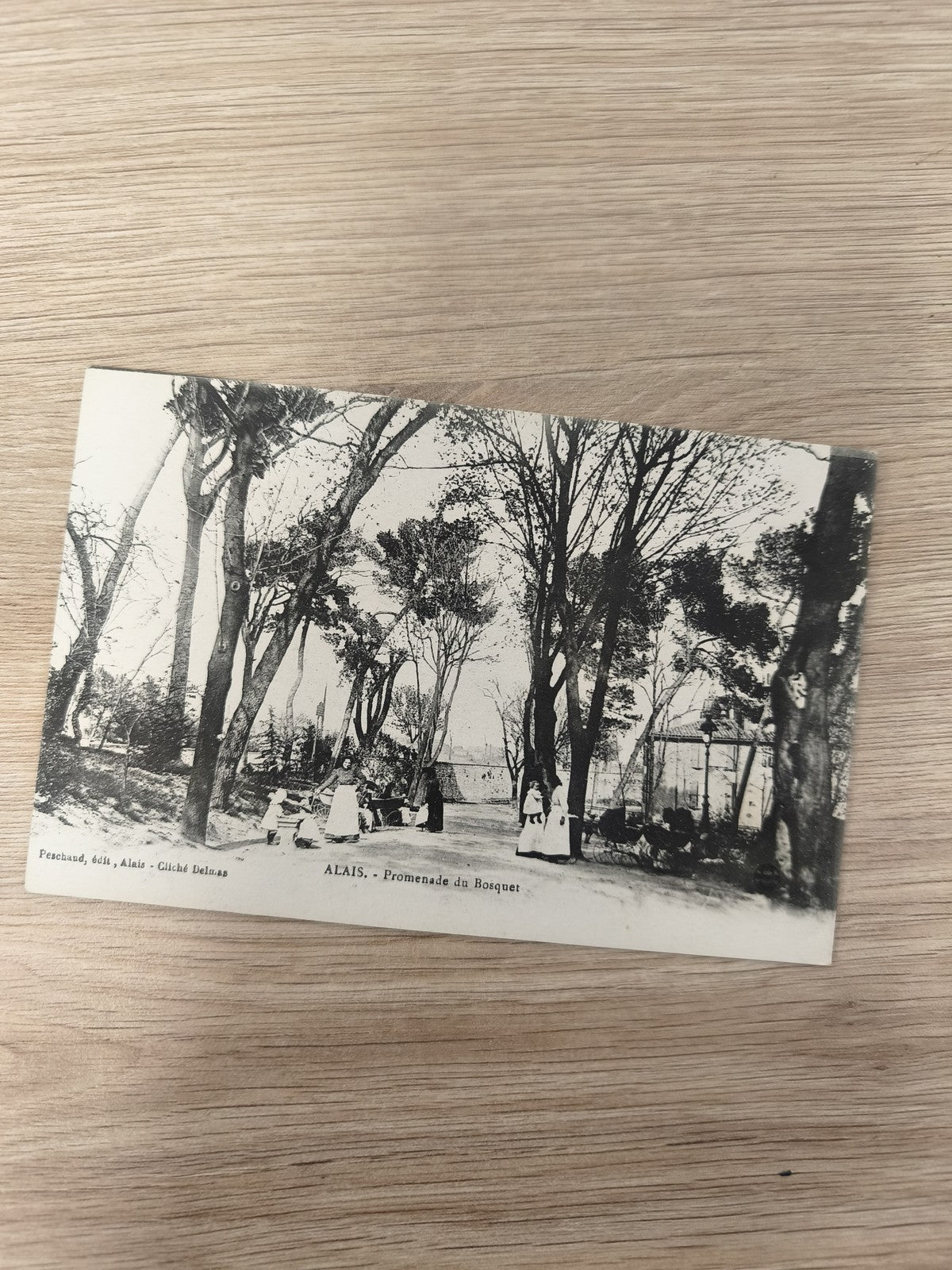 Ancienne CPA Alais Promenade du Bosquet ? Carte postale vintage noir et blanc