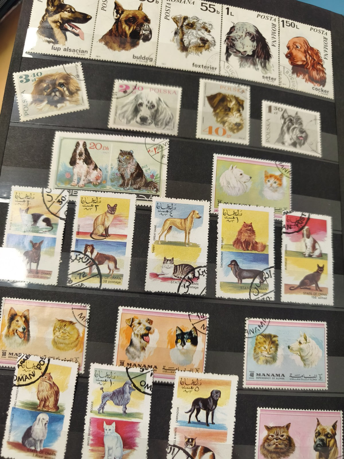 Lot anciens timbres oblitérés Oman animaux chiens chats philatélie collection