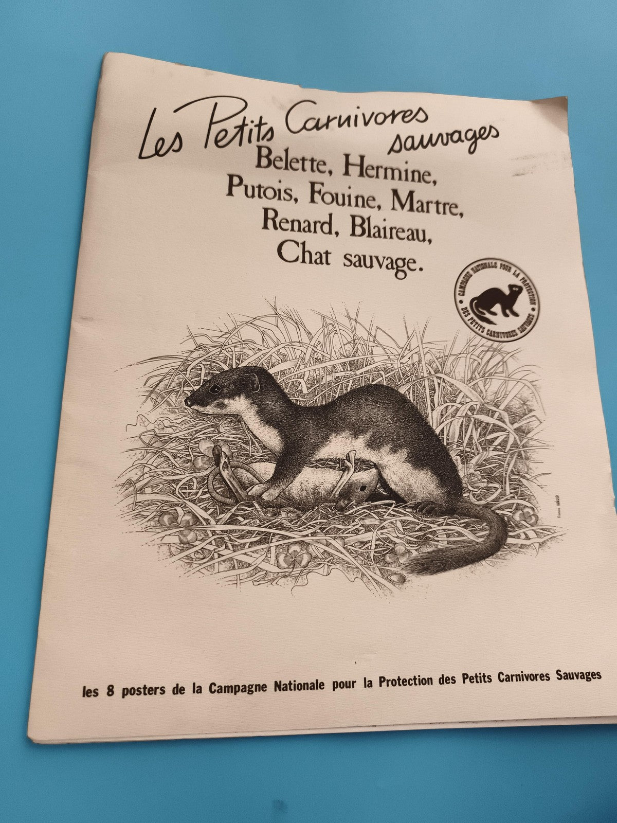 Livre Les Petits Carnivores sauvages belette hermine putois fouine renard poster