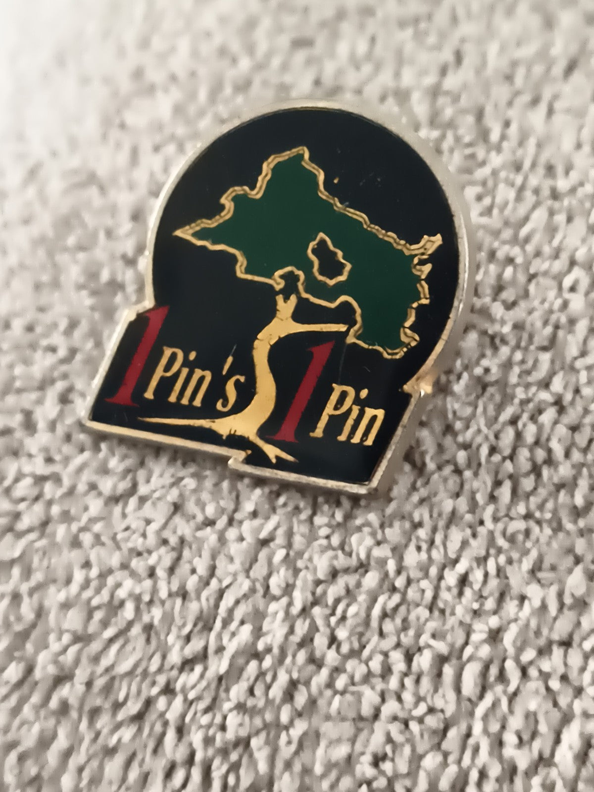 Pin's vintage 1 Pin's 1 Pin silhouette femme carte verte noir émaillé (Ref 8)