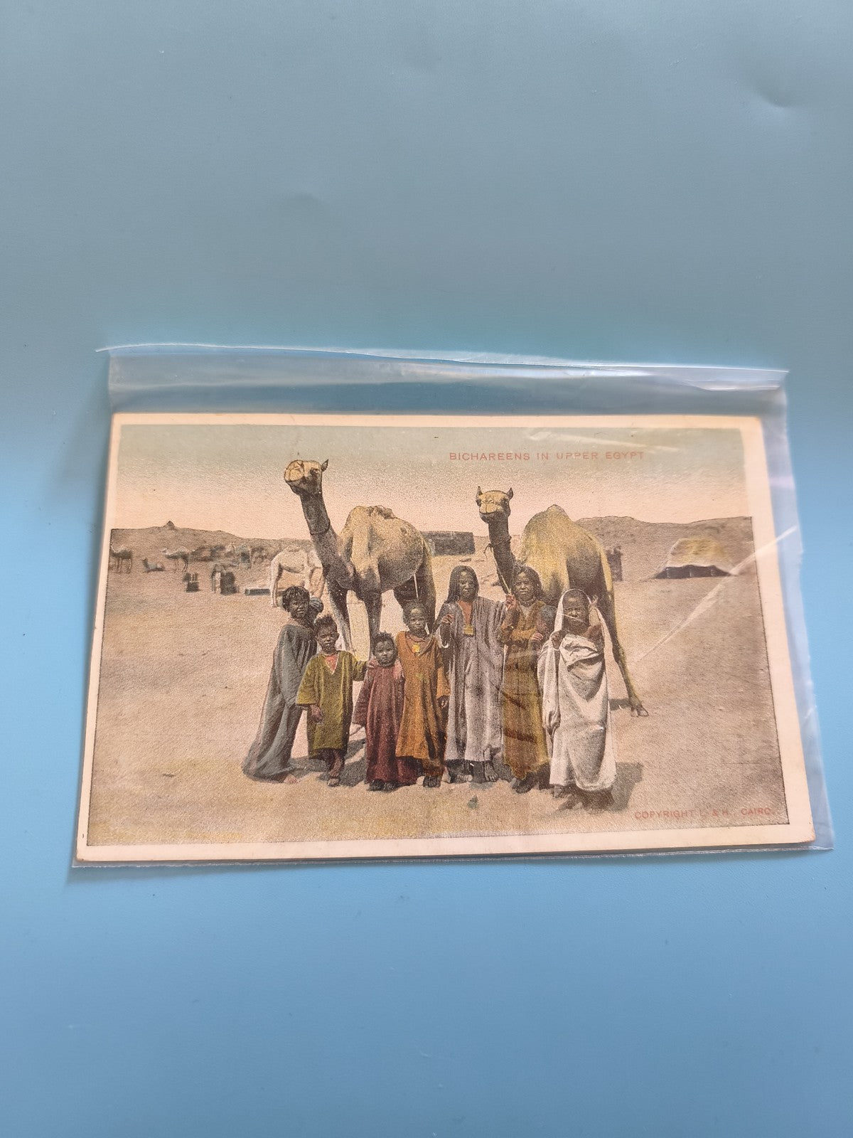 Carte postale vintage ancienne Égypte Bichareens collection rétro oriental