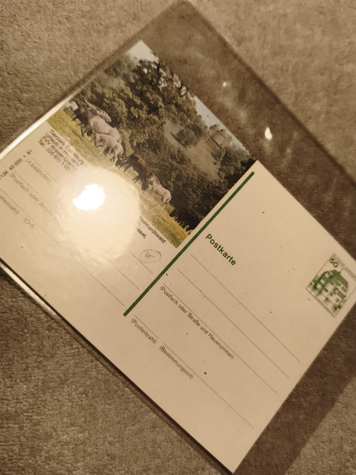 Carte postale chevaux paysage vert timbre 50 Allemagne philatélie (Ref 27)