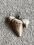 Fossile dent de requin pendentif fil métal aspect naturel minéral