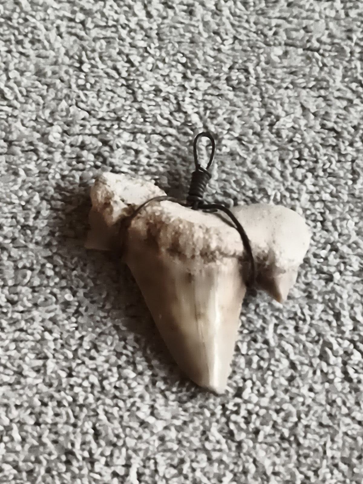 Fossile dent de requin pendentif fil métal aspect naturel minéral
