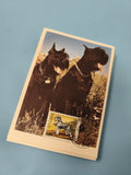 Carte postale philatélie chiens noirs Schnauzer timbre Monaco 0,60 oblitéré