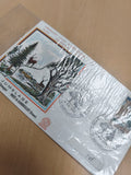 Lettre Premier Jour Rambouillet 1968 jumelage forêt enveloppe philatélie FDC