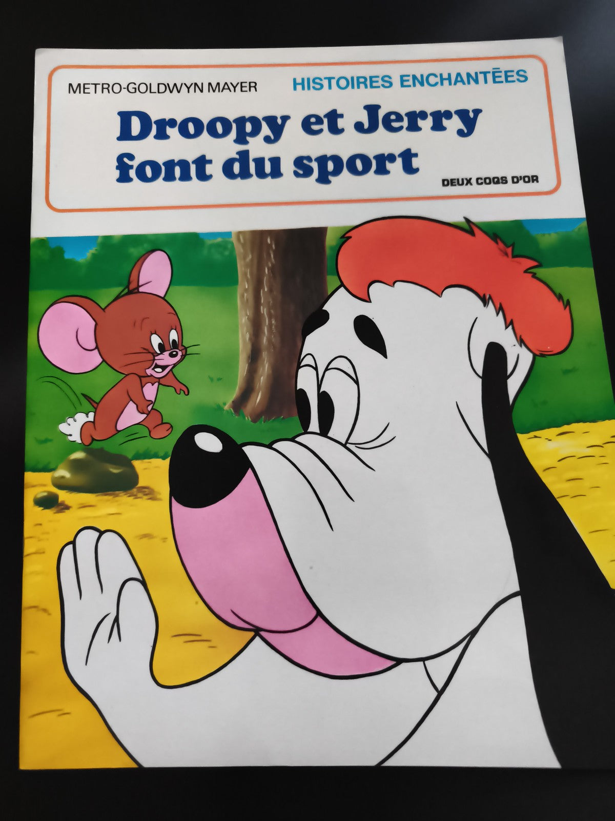 Livre Droopy et Jerry font du sport Metro-Goldwyn Mayer Deux Coqs d'Or BD enfant