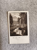 CPA St. Moritz paysage montagne sapins noir et blanc Suisse