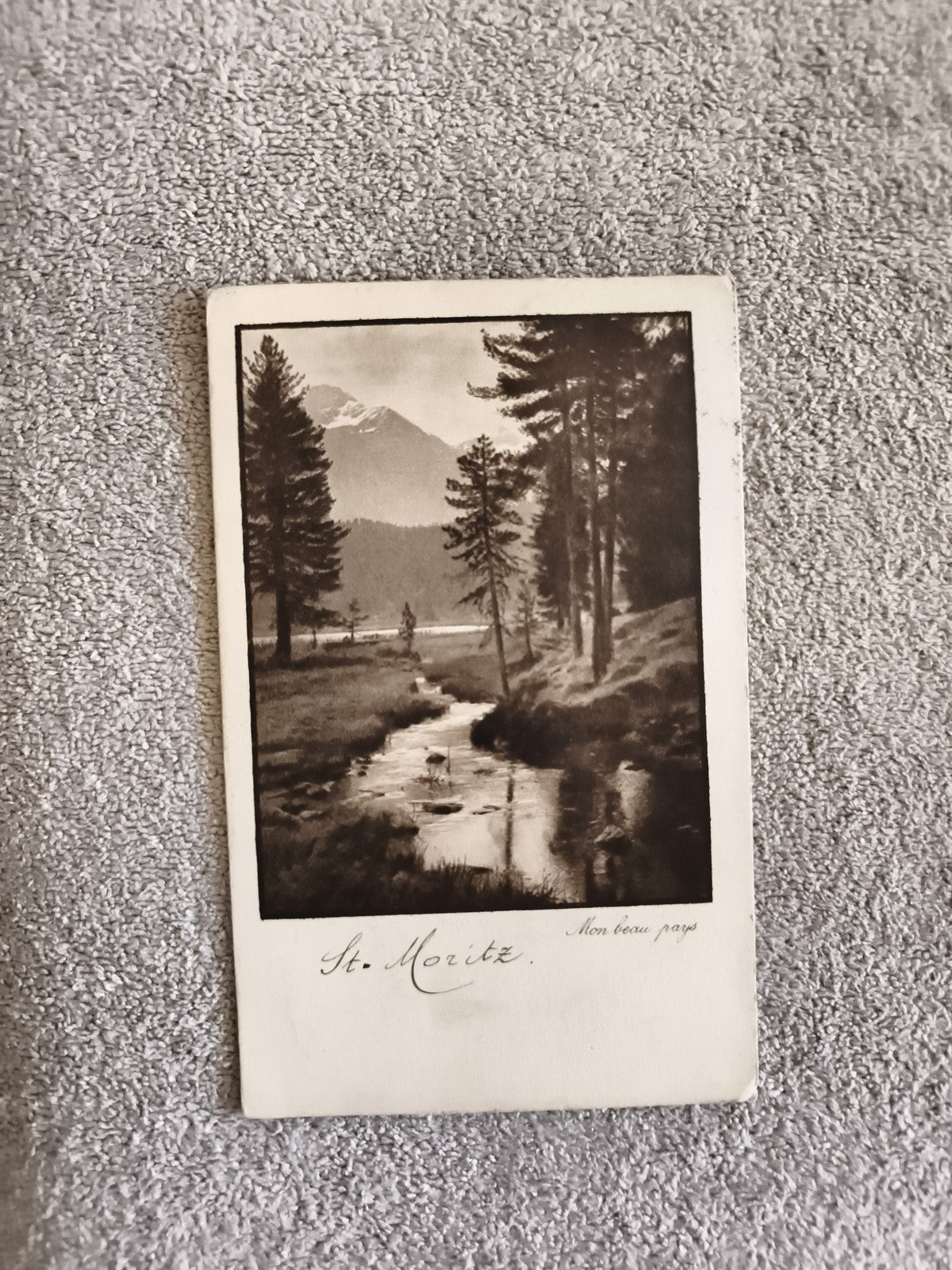 CPA St. Moritz paysage montagne sapins noir et blanc Suisse