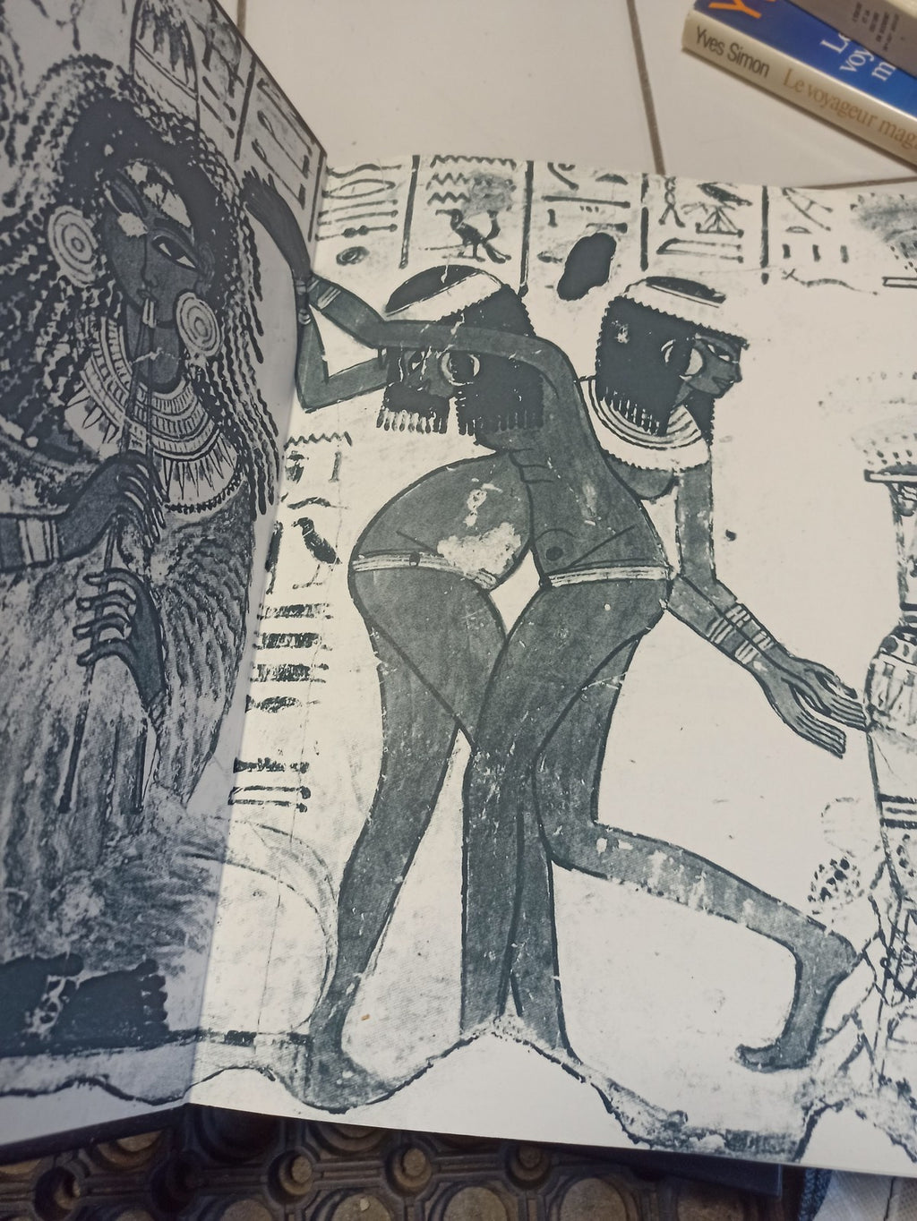 Livres anciens Histoire de France Larousse reliure simili vintage rétro