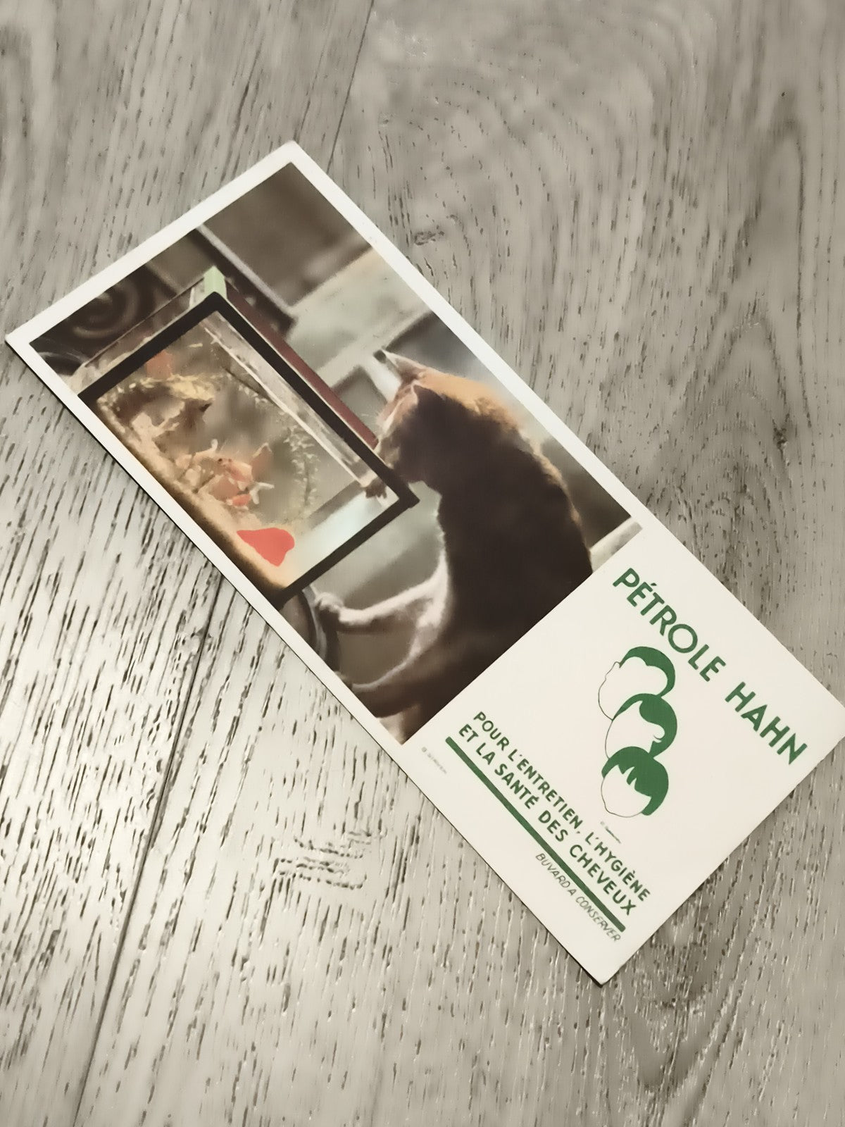 Publicité ancienne Pétrole Hahn chat poisson carte vintage déco rétro