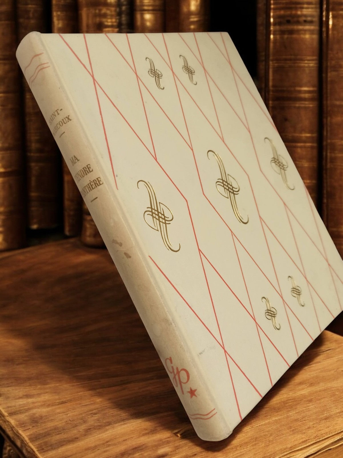 Altes Buch "Die zärtliche Pantherin", dekorativer Einband, Vintage-Ausgabe GP