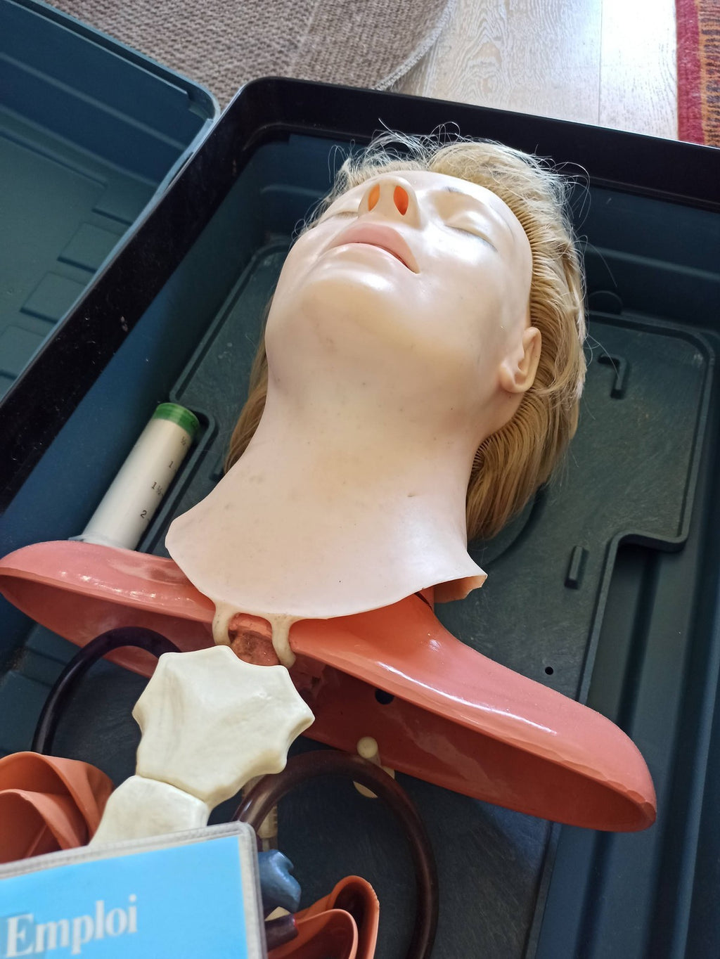 Mannequin anatomique Asmund S. Laerdal Anatomic Anne formation médicale