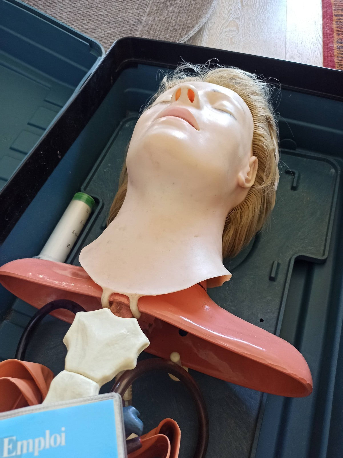 Mannequin anatomique Asmund S. Laerdal Anatomic Anne formation médicale