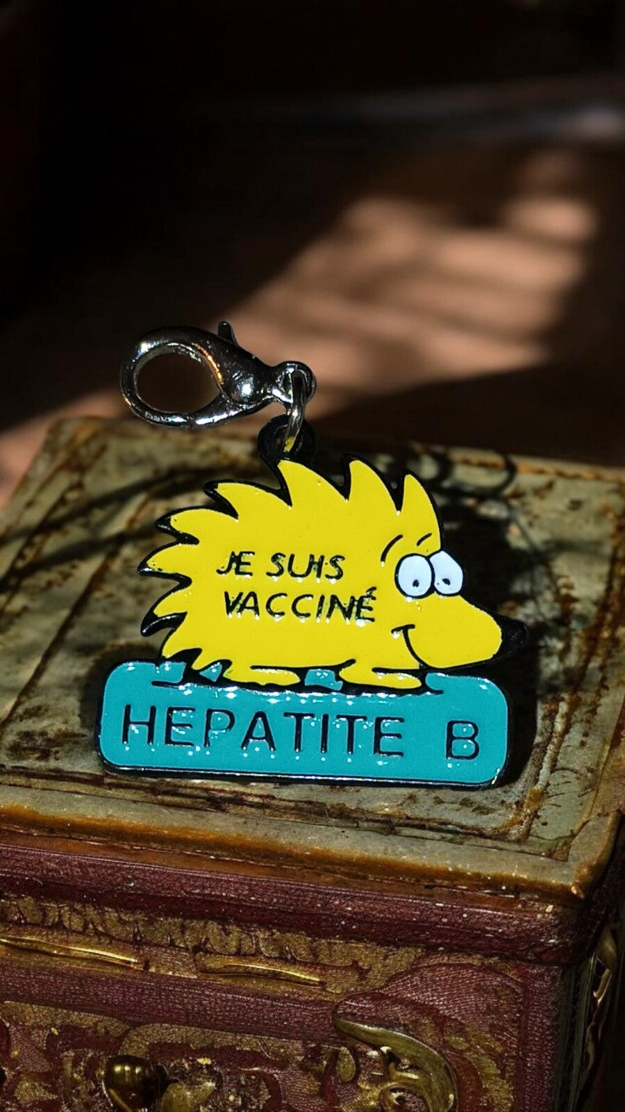 Porte-clés vintage hérisson Je suis vacciné Hépatite B, ancien badge santé