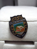 Patch écusson brodé Col Bonhomme ancien vintage rétro montagne chalet