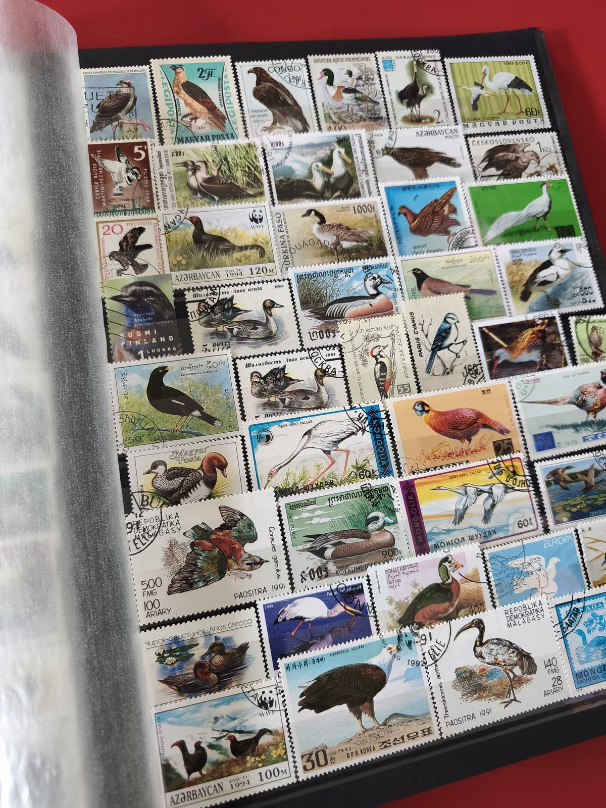 Classeur ancien de timbres oiseaux du monde, collection thématique, multicolore