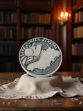 Médaille vintage Conseil Général Hérault, relief carte, distinction ancienne