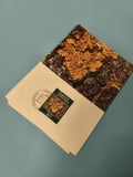 Carte postale timbrée Liechtenstein nature photographie lichen jaune