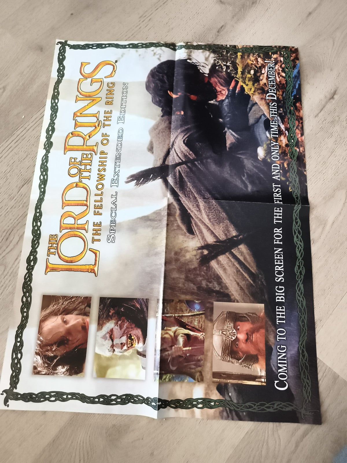 Poster The Lord of the Rings Fellowship Extended Edition cinéma film
