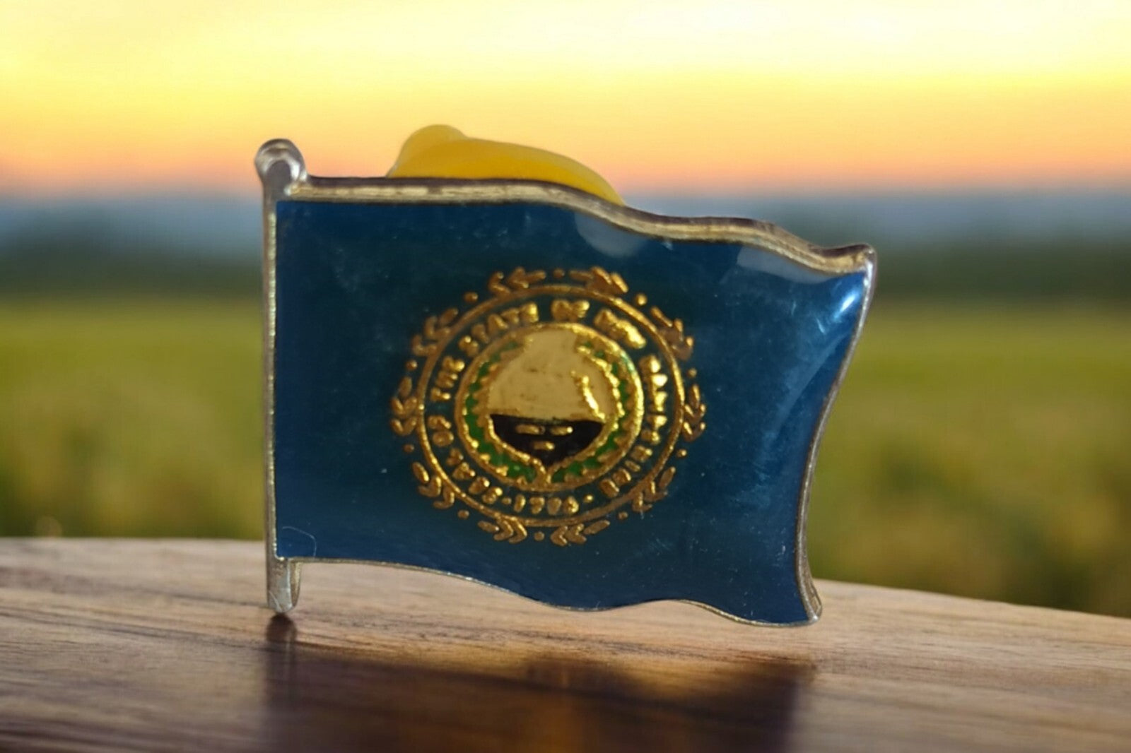 Pin's vintage drapeau New Hampshire émaillé bleu doré métal badge USA