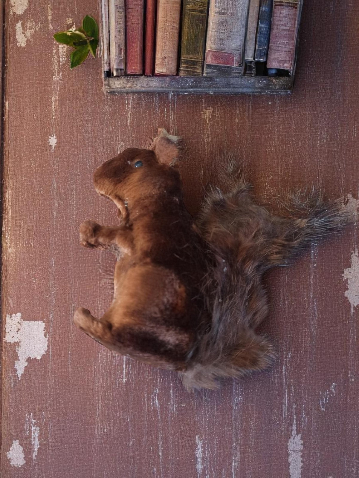 Jouet écureuil vintage années 50 peluche brune fourrure ancienne déco
