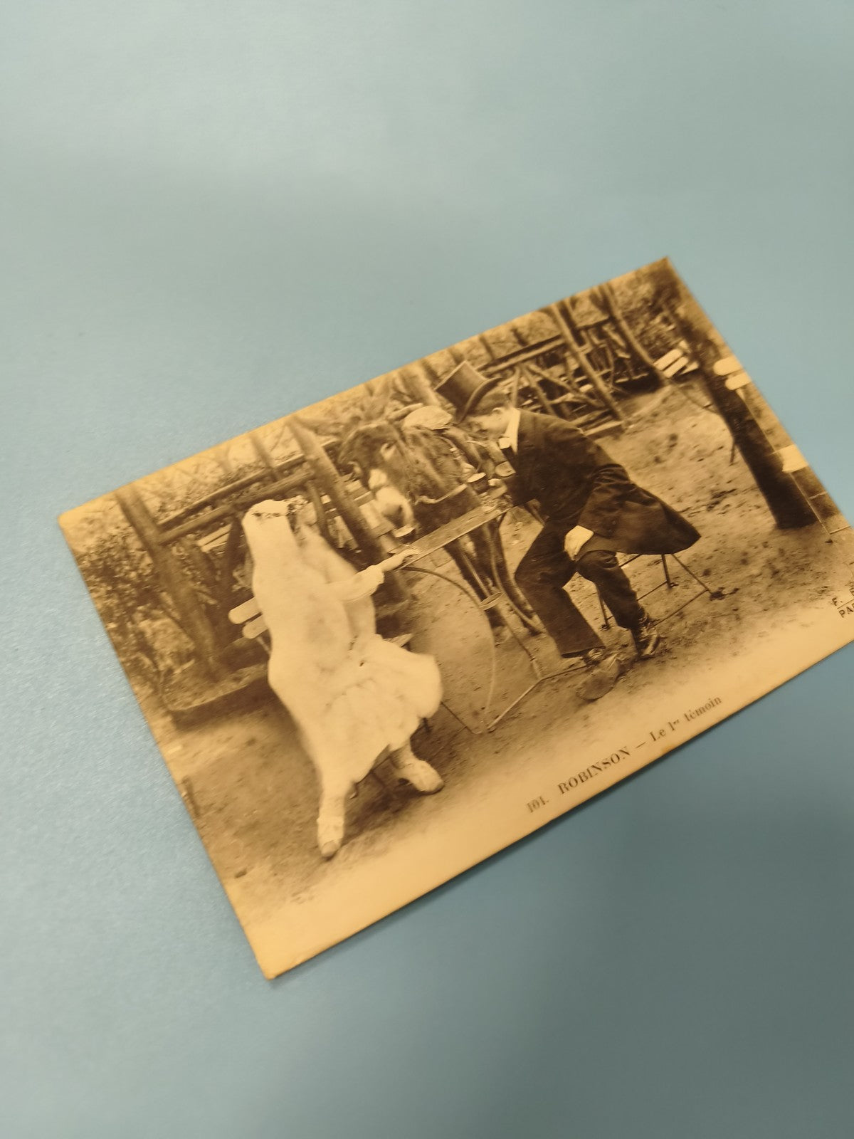 Ancienne carte postale animée Robinson vintage, scène humoristique, collection
