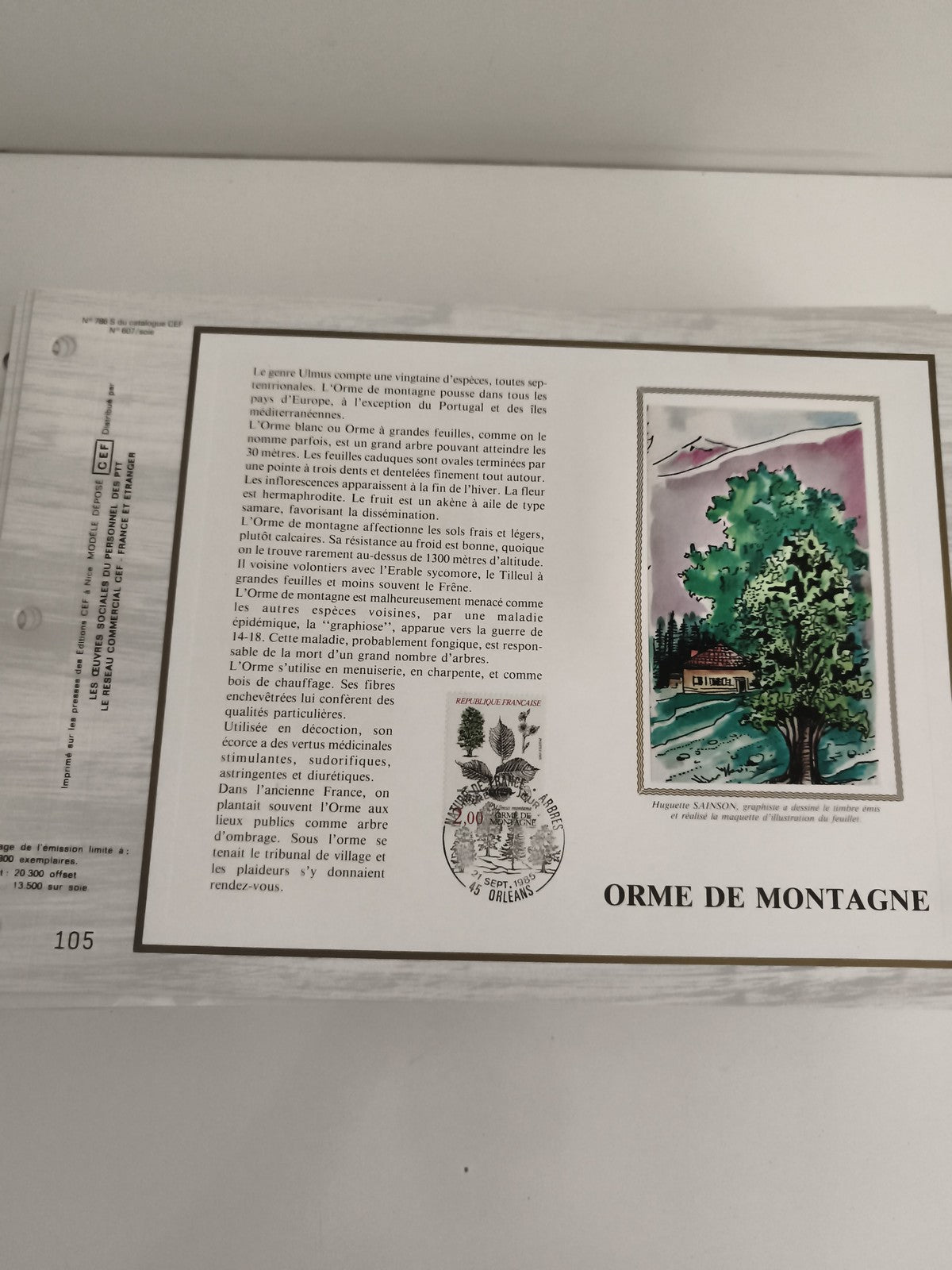 Feuillet philatélique CEF Orme de montagne timbre France botanique