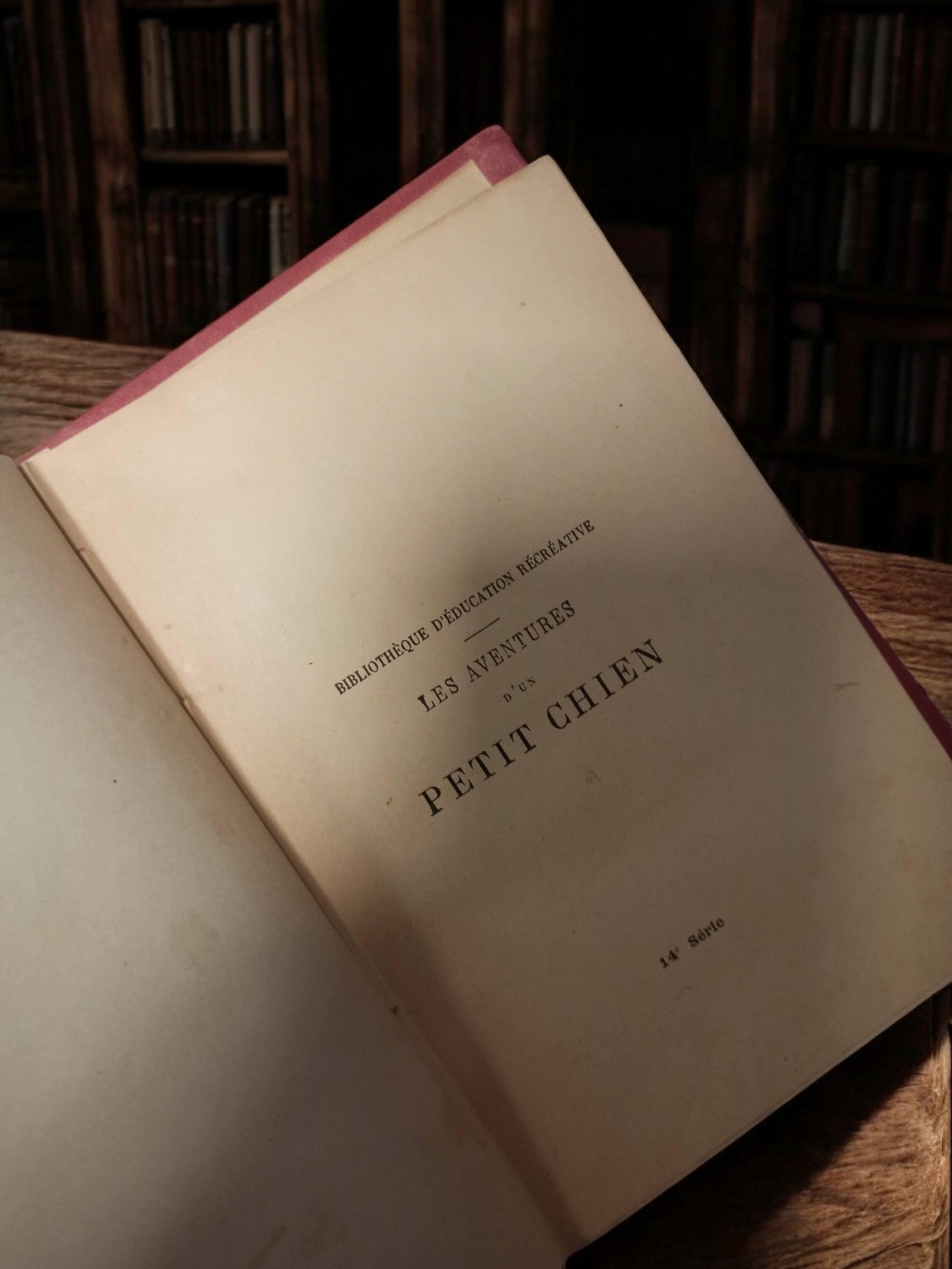 Livre ancien reliure rouge or Les aventures d?un petit chien vintage rétro