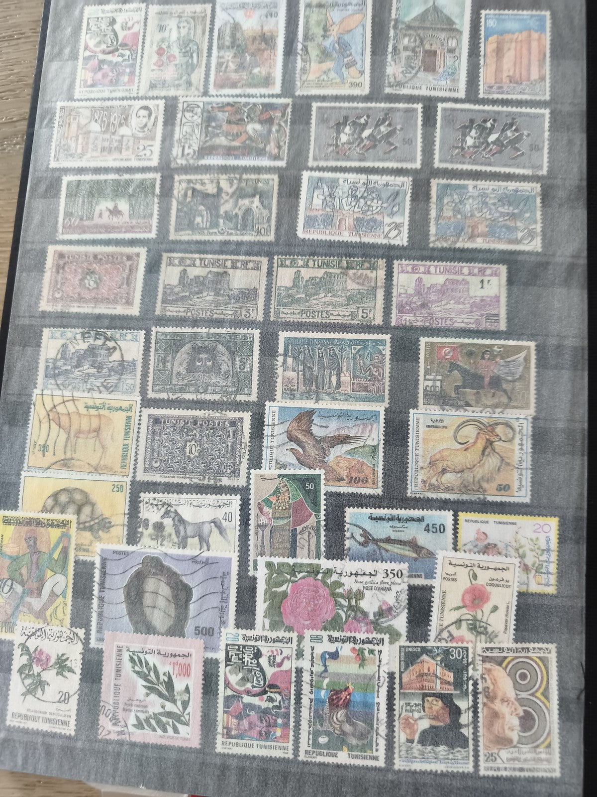 Lot de timbres oblitérés Tunisie motifs variés animaux fleurs bâtiments