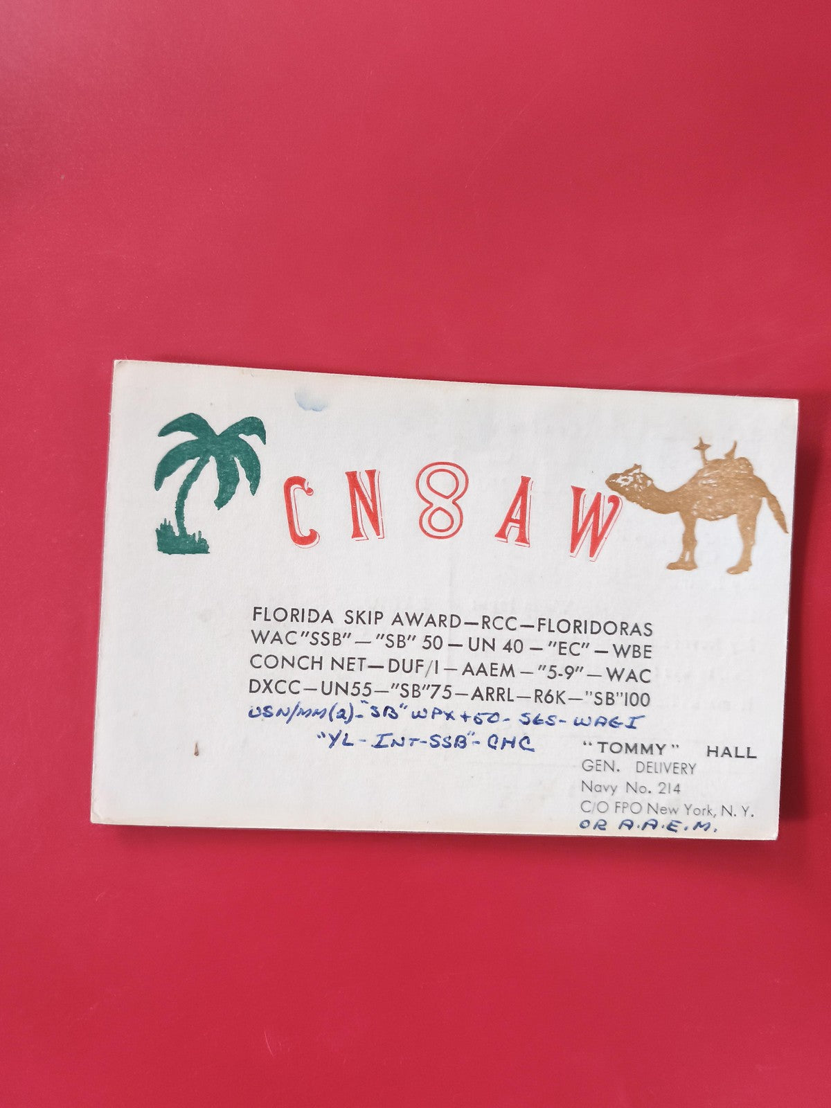 Carte radio QSL CN8AW décor palmier et chameau, radioamateur, écriture manuscrit