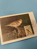 Carte postale Andorre oiseau timbre 0,60 jaune protection nature oblitérée