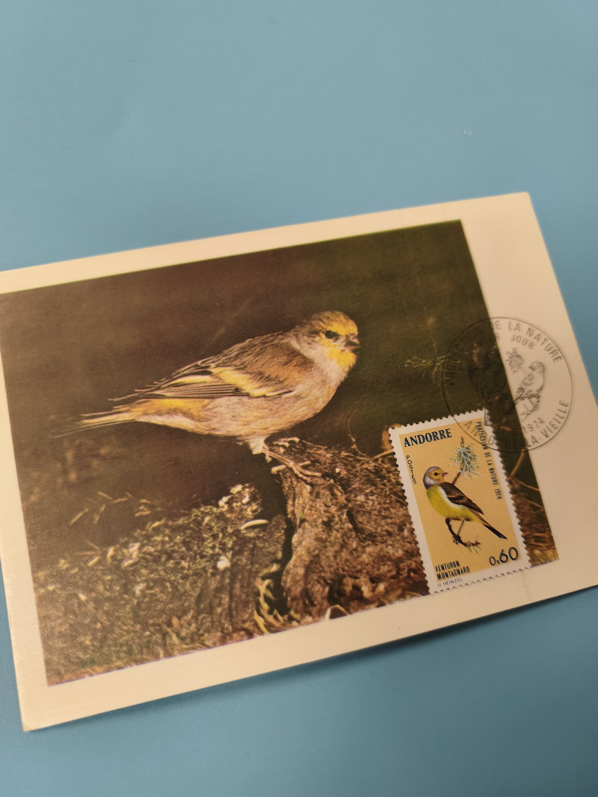 Carte postale Andorre oiseau timbre 0,60 jaune protection nature oblitérée