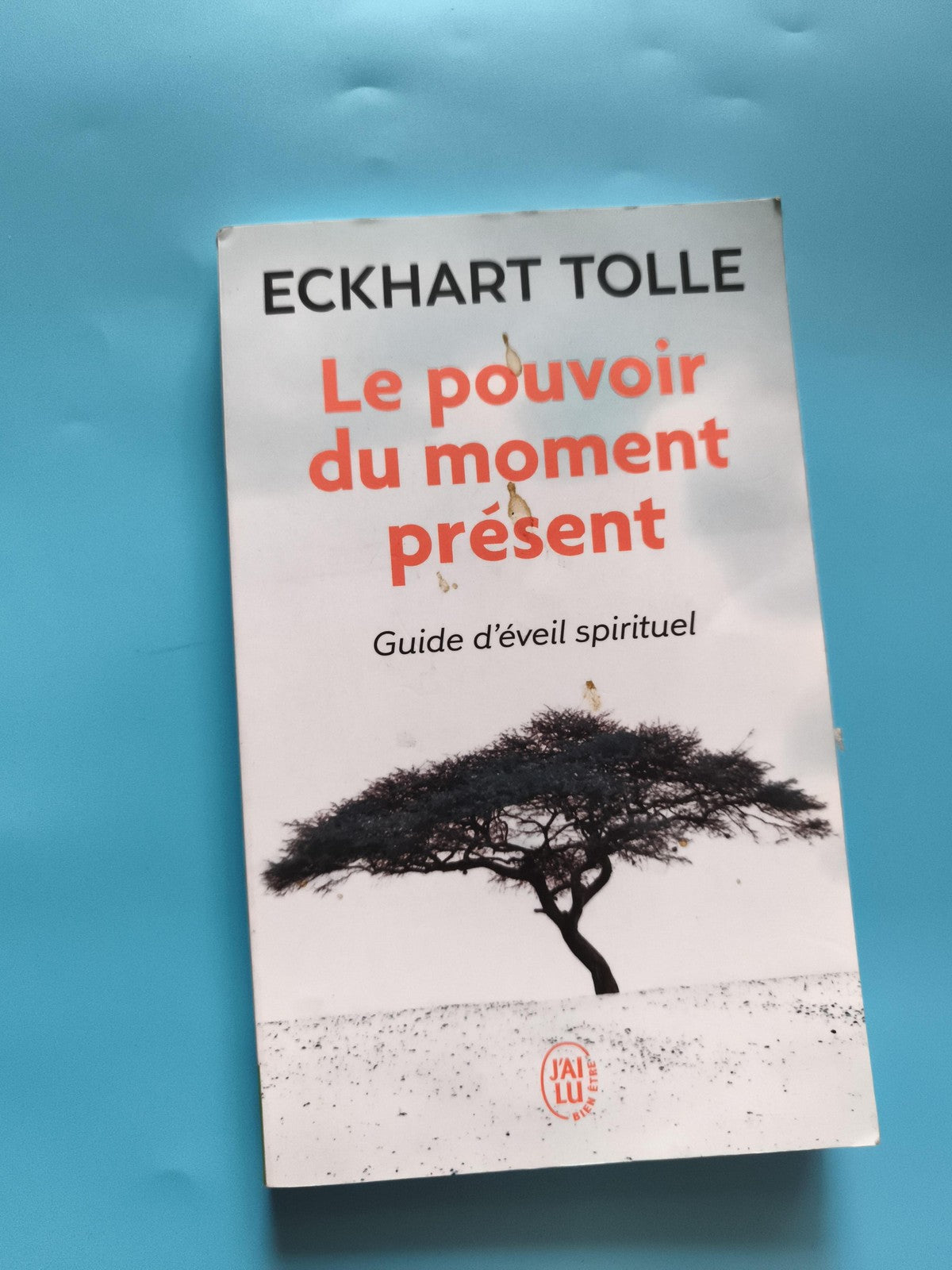Livre Le pouvoir du moment présent Eckhart Tolle J'ai Lu bien-être spiritualité