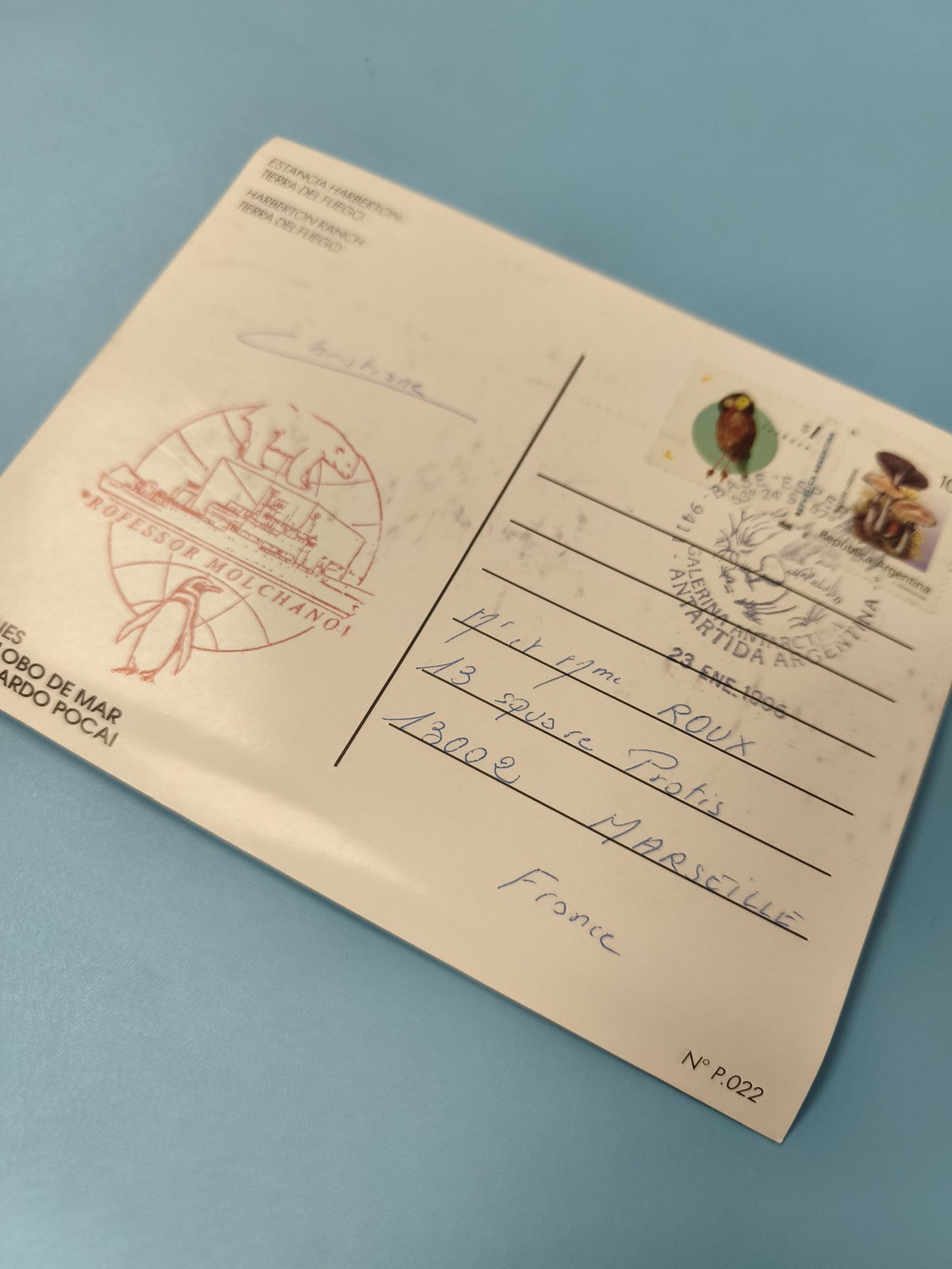 Carte postale philatélie Argentine timbres oiseaux ours polaire Tierra del Fuego