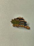 Pin's vintage Aqualand ancien, émaillé, logo palme verte, collection