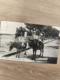 Ancienne carte postale Vichy bords de l?Allier enfants ânes LL vintage