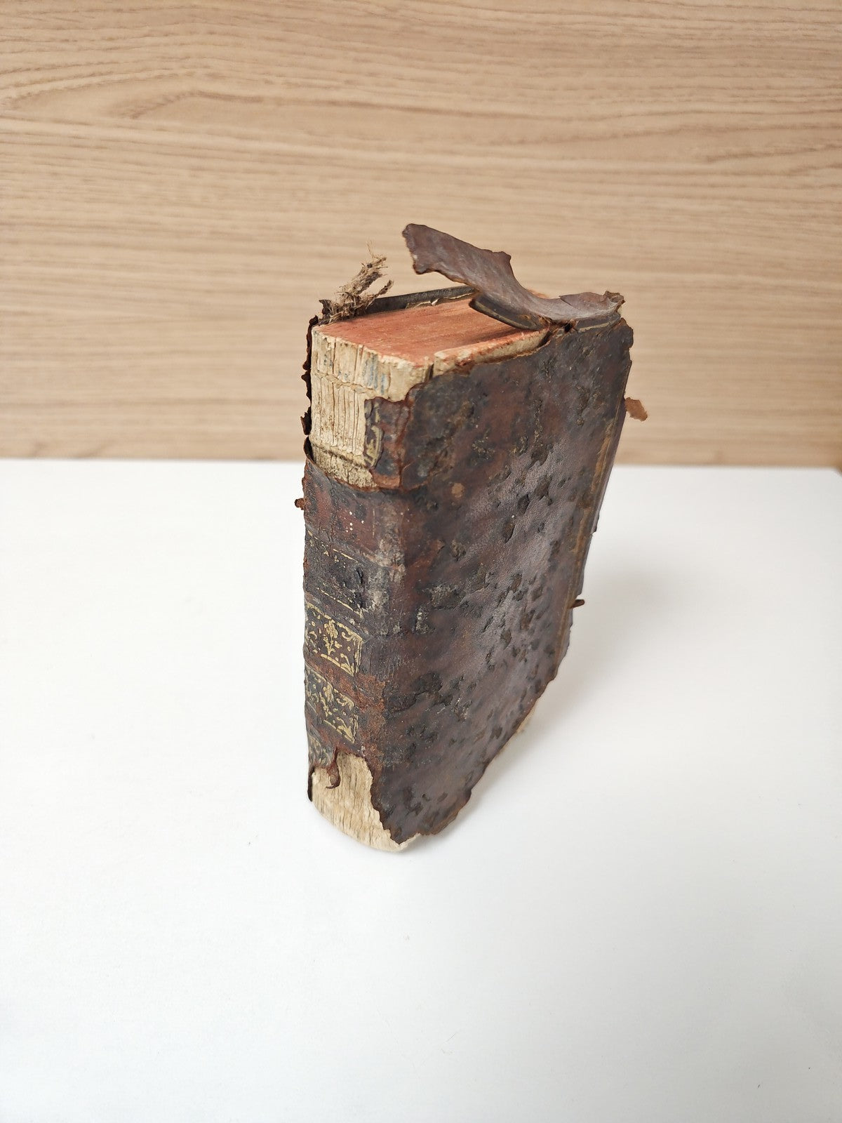 Livre ancien médecine pratique Arnault de Nobleville vintage collection rare