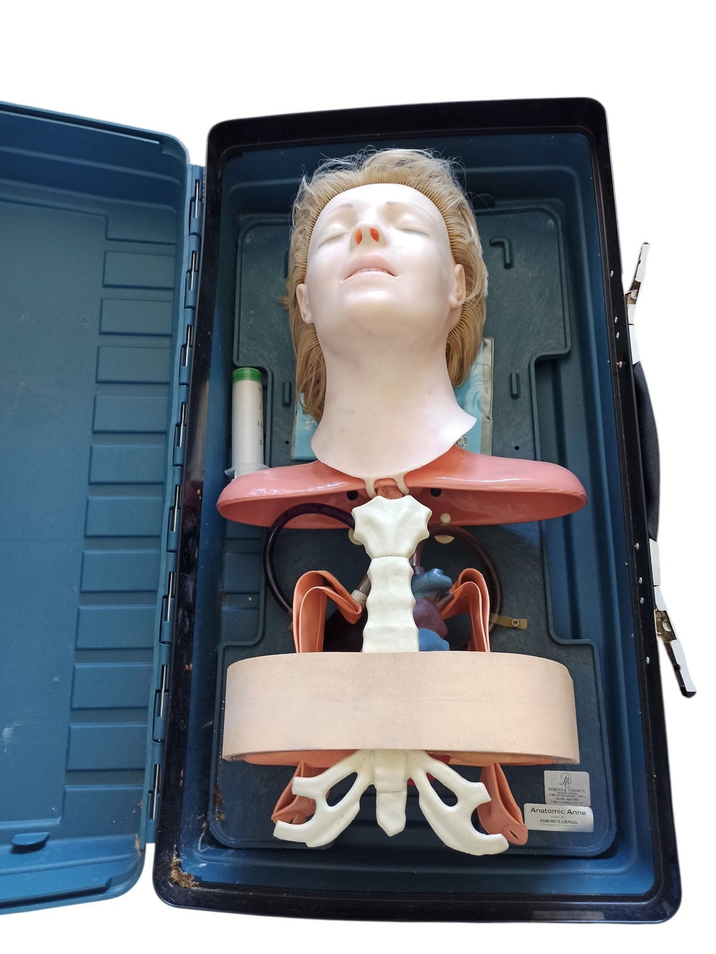 Mannequin anatomique Asmund S. Laerdal Anatomic Anne formation médicale