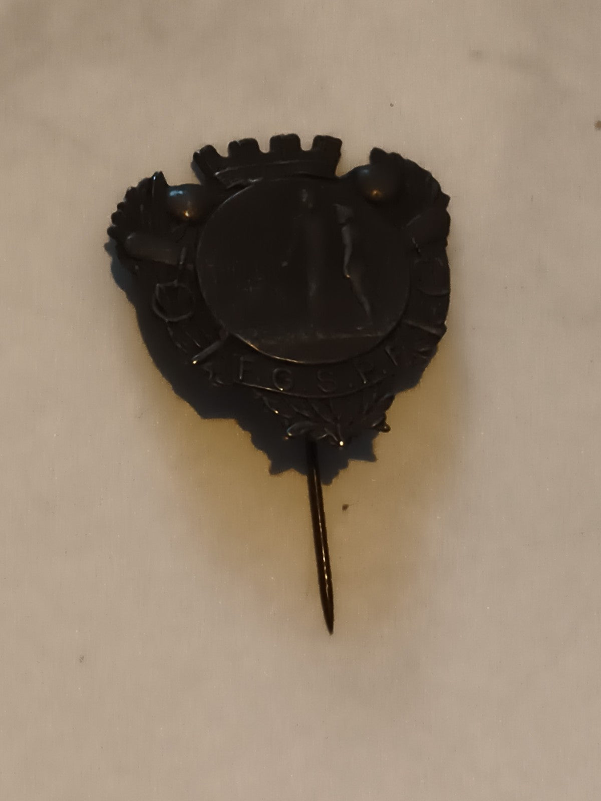 Broche ancienne F.G.S.P.F. insigne foncé blason émaillé vintage badge
