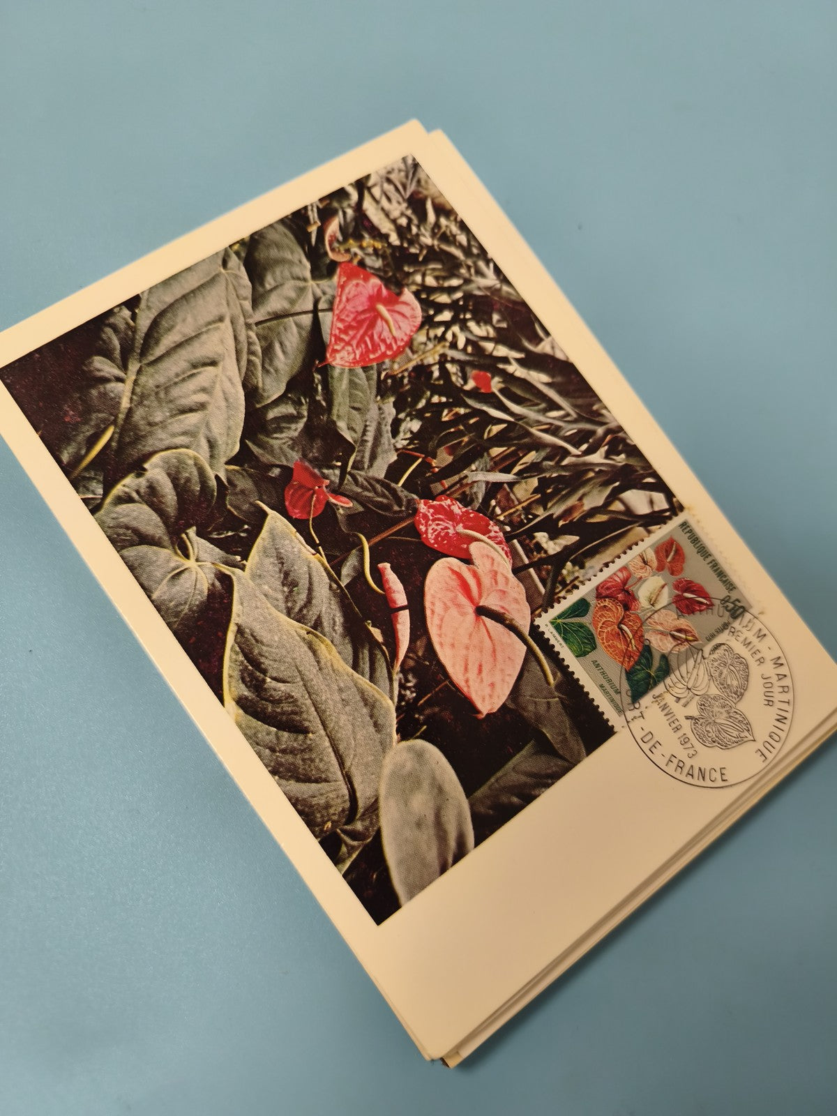 Enveloppe FDC premier jour d?émission Anthurium 1975 timbre fleurs