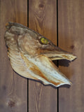 Tête de brochet naturalisée vintage, taxidermie ancienne cabinet de curiosités