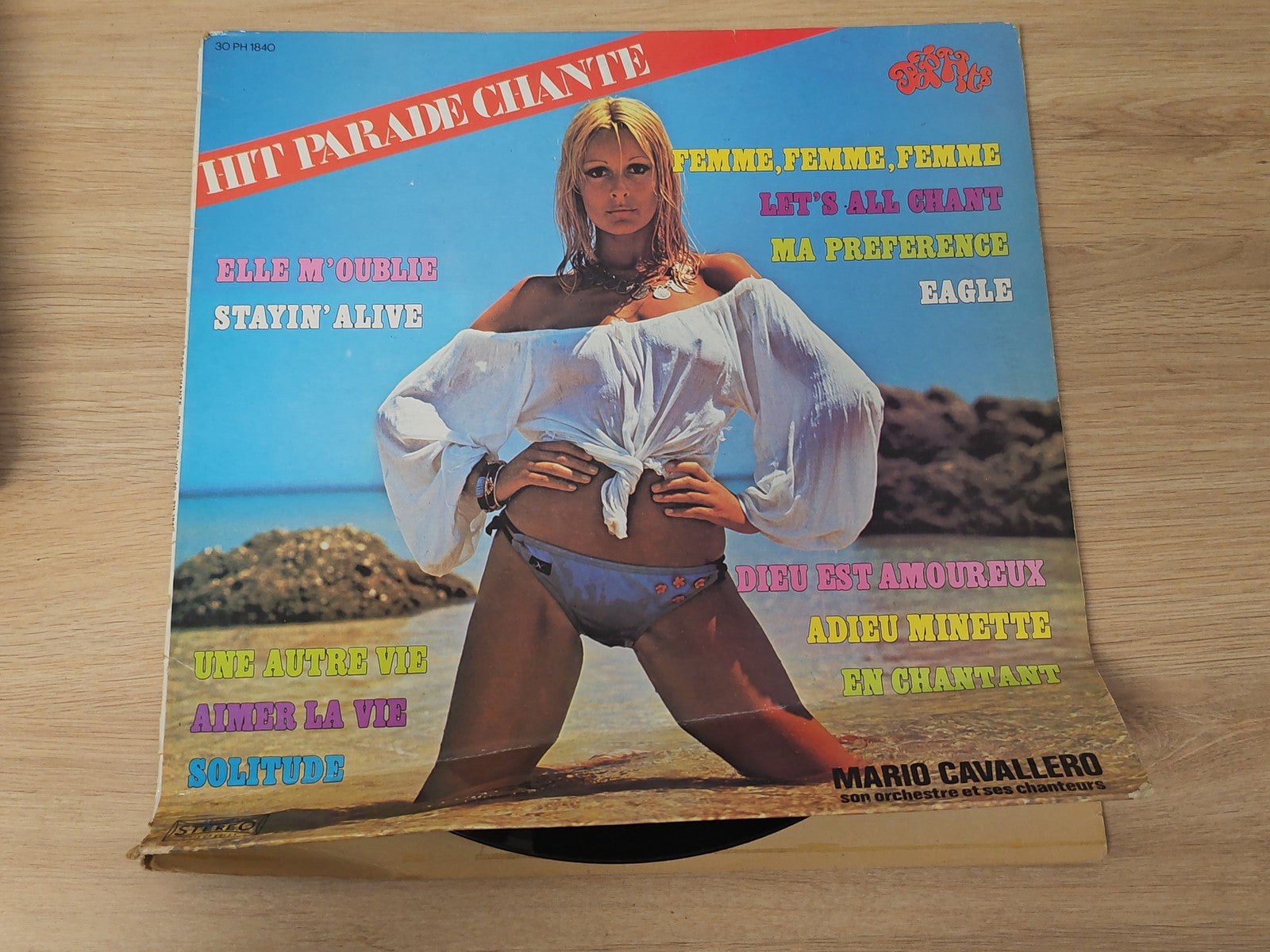 Vinyle ancien 33 tours rétro Hit Parade chante ? disque collection vintage