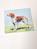 Vintage autocollant publicitaire ancien croquettes Canina déco rétro collection
