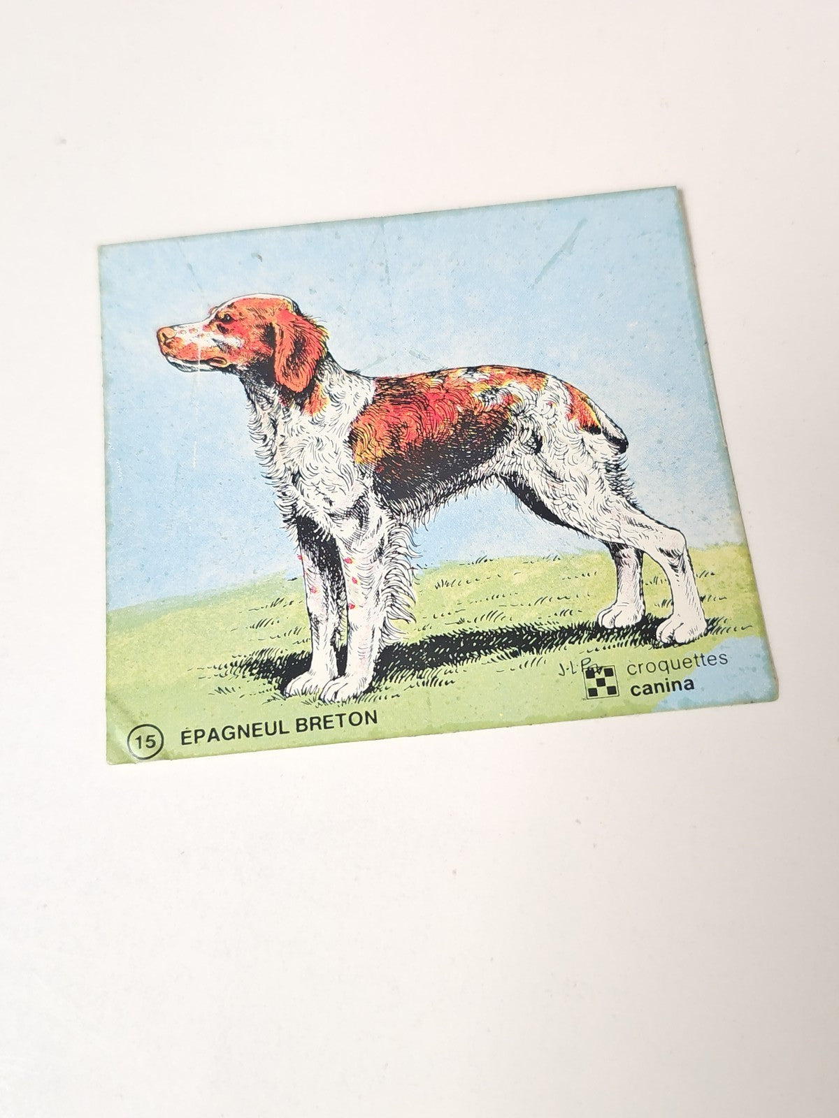 Vintage autocollant publicitaire ancien croquettes Canina déco rétro collection