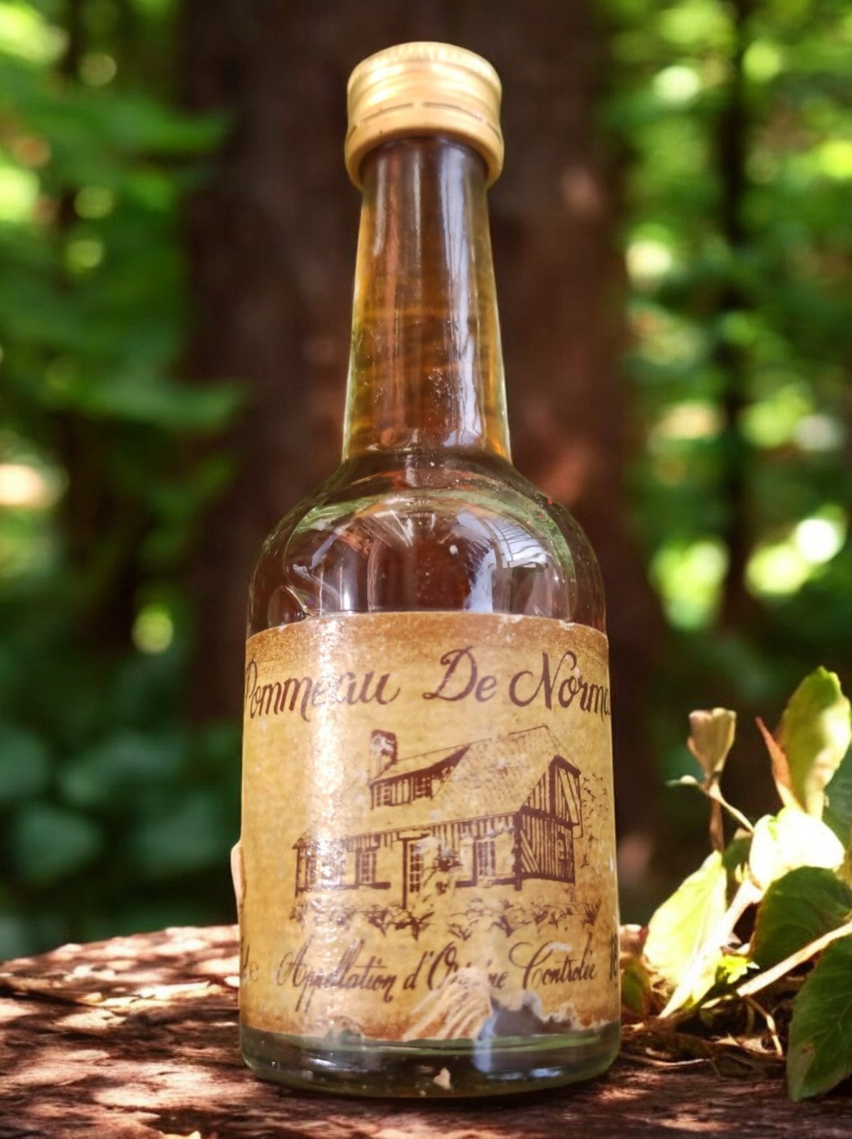 Mini bouteille Pommeau de Normandie vintage France, étiquette illustrée ancien