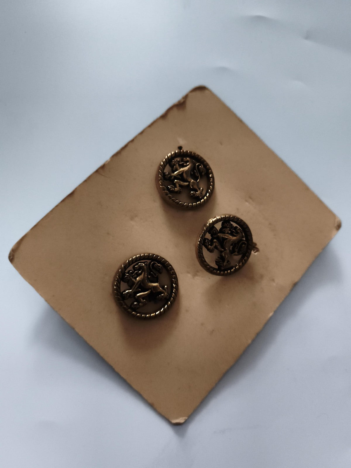 Boutons anciens lion relief aspect bronze blason lot x3 vintage costume veste