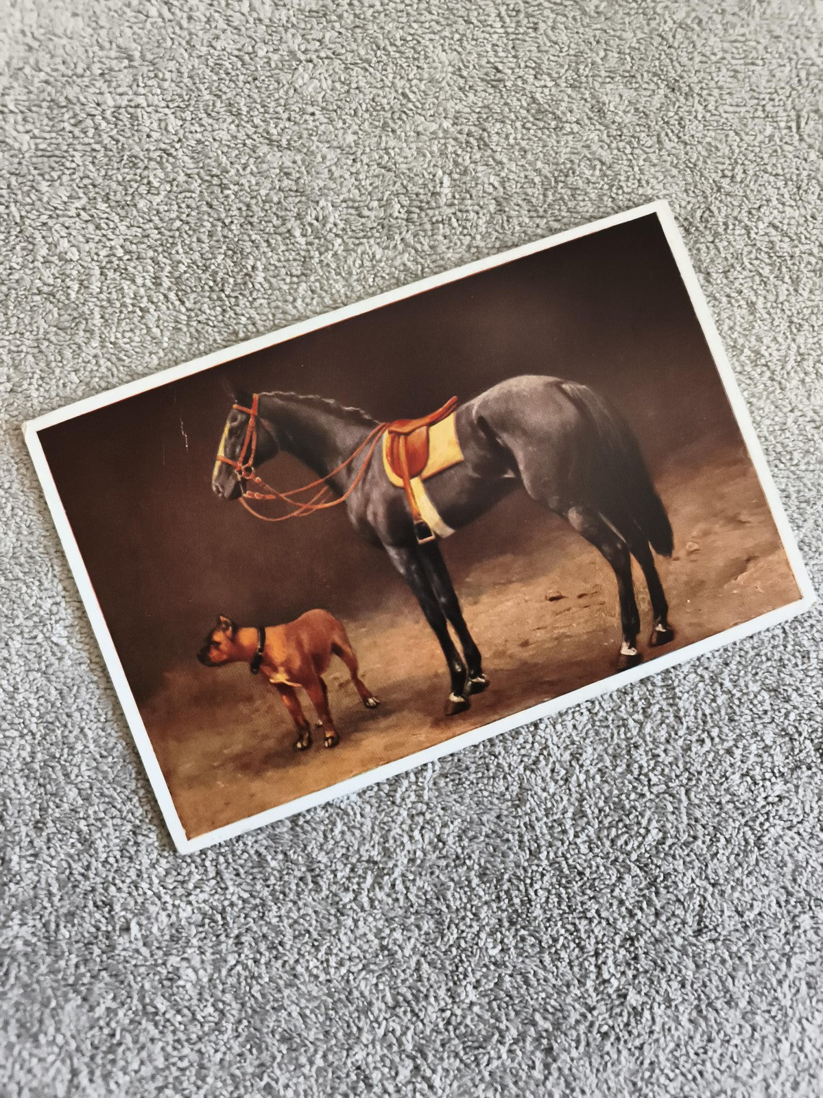 CPA cheval selle et chien illustration animalière décorative