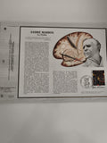 Feuillet philatélique CEF André Masson La Pythie oblitéré timbre France