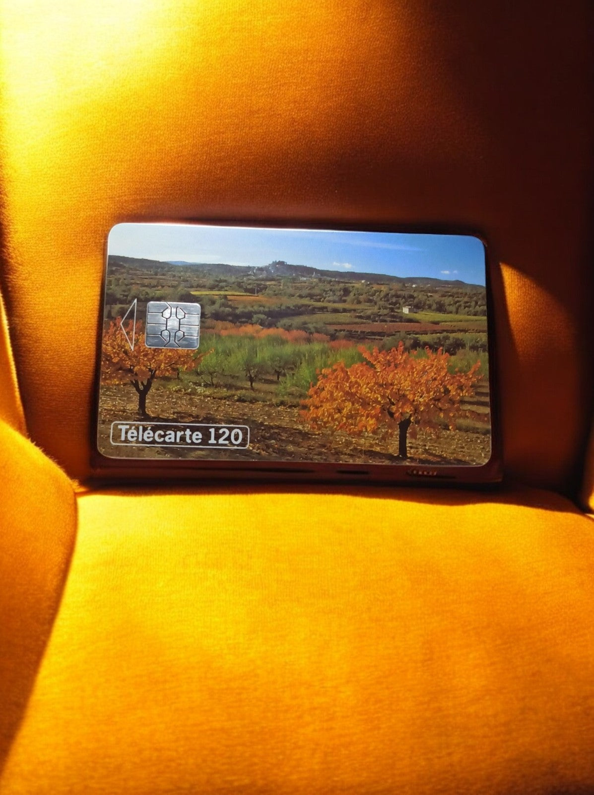 Télécarte 120 unités vintage paysage automnal carte téléphonique ancienne